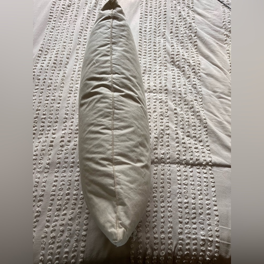 Charisma Pillow with Cover